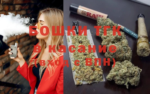 молекула духа Ельня
