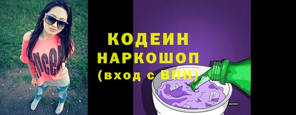 молекула духа Ельня