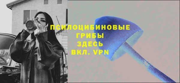 молекула духа Ельня