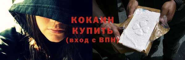 молекула духа Ельня
