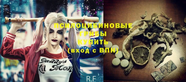 молекула духа Ельня