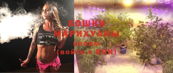 молекула духа Ельня
