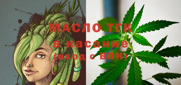 МДПВ Елабуга