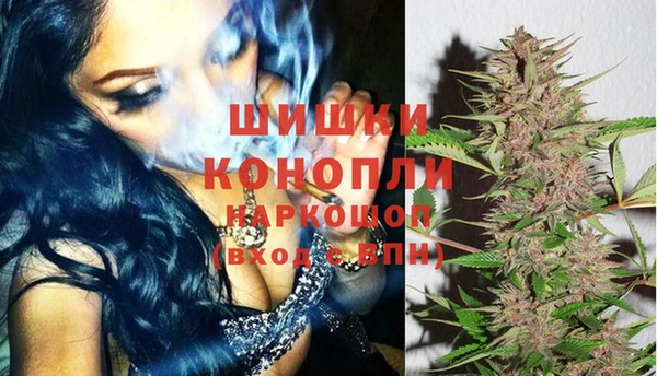 молекула духа Ельня