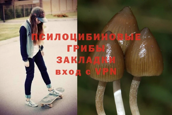 МДПВ Елабуга