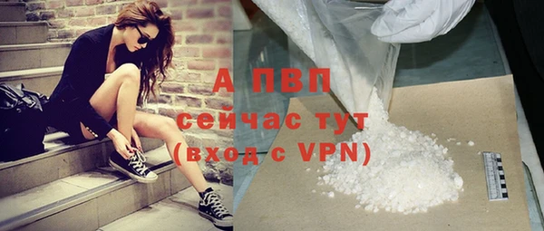 молекула духа Ельня