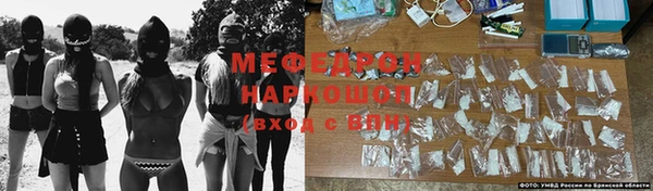 молекула духа Ельня