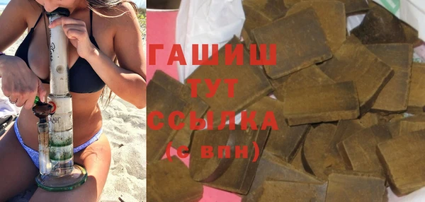 молекула духа Ельня